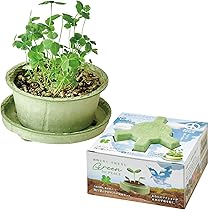 Amazon｜聖新陶芸 通年 家庭菜園 簡単 栽培キット 四つ葉の